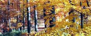 Zaprešić - CroMaps