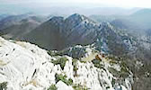 risnjak
