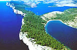 telascica