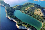 telascica